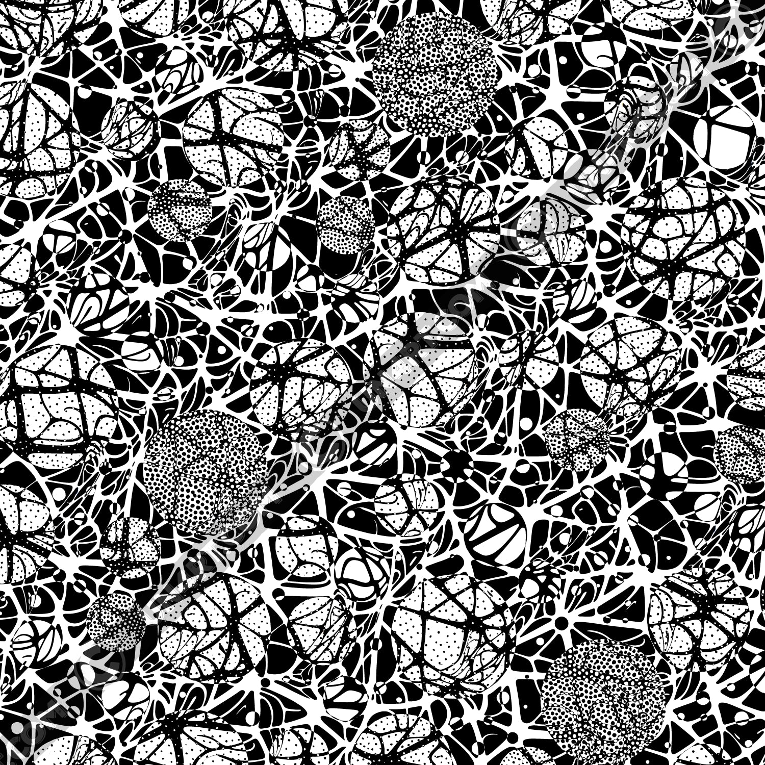 un4rt - the image shows a network of organically shaped white lines of different thicknesses on a black background. the image also shows many circles of different sizes. in some circles there are many small dots. the colours of the network are inverted within the circles and the small dots.