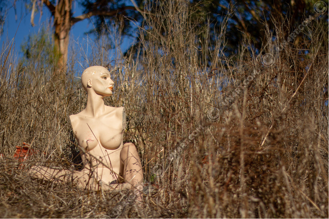 un4rt - almost human gallery poster mockup picture with a mannequin sitting outdoor in between very high and dried brown gras. some trees and blue sky in the background.