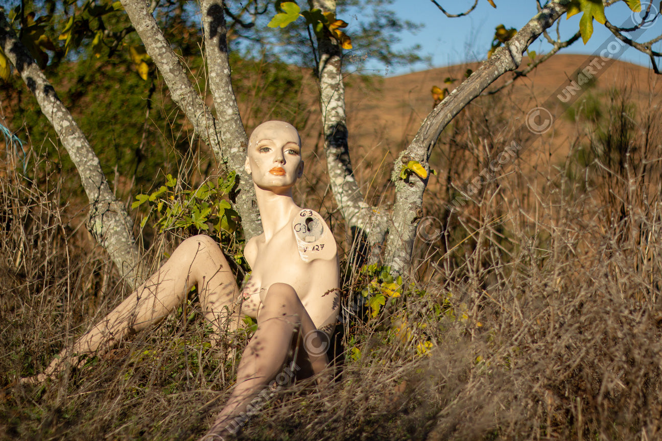 un4rt - almost human gallery poster mockup picture with a mannequin sitting outdoor in front of an old fig tree in between dried gras. dry hills in the background.