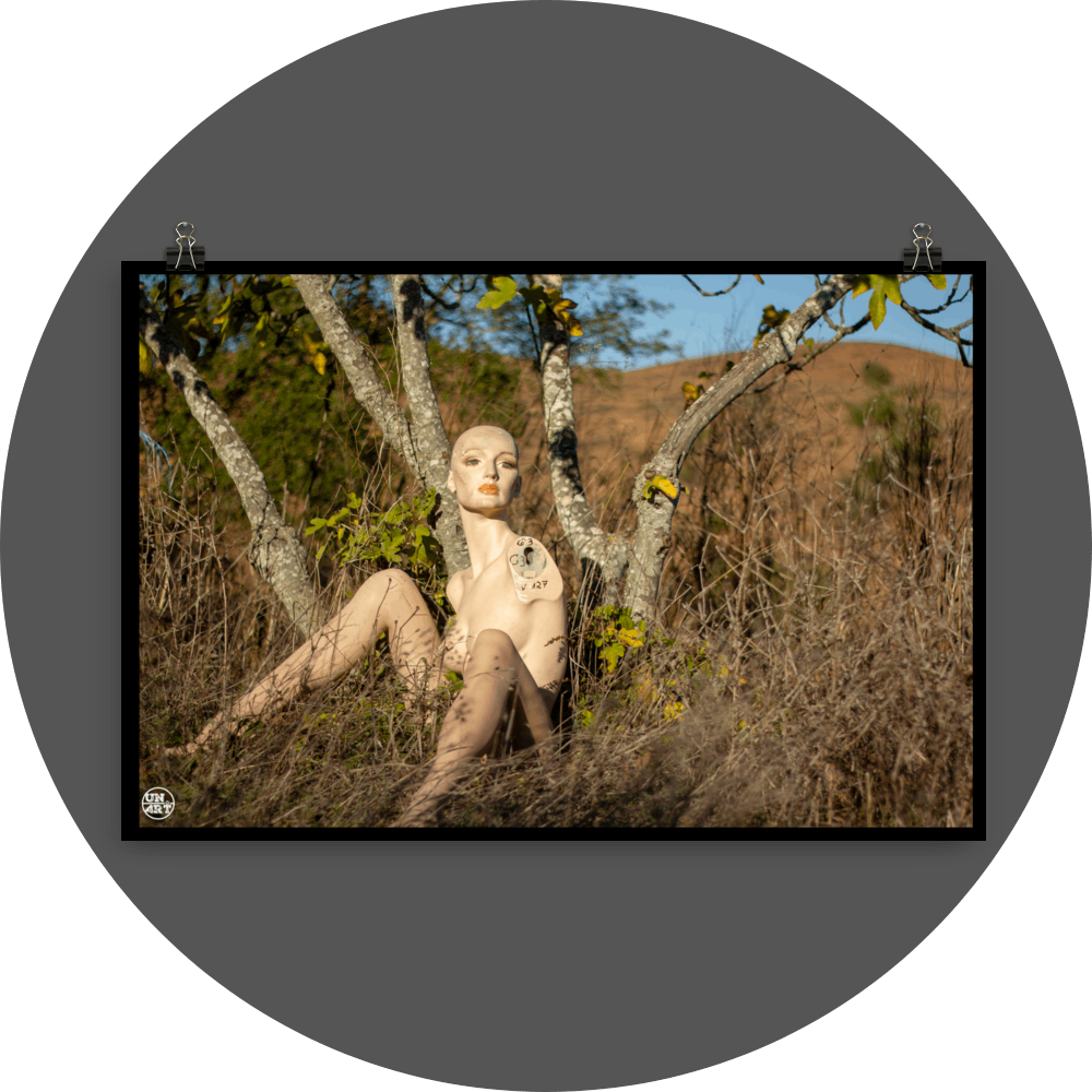 un4rt - almost human gallery poster mockup picture with a mannequin sitting outdoor in front of an old fig tree in between dried gras. dry hills in the background.