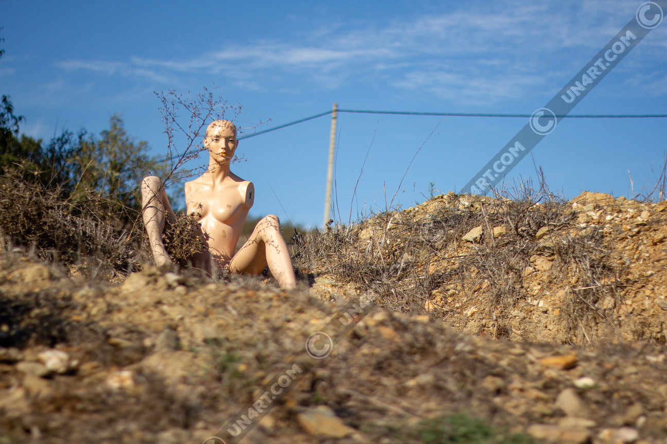 un4rt - almost human gallery poster mockup picture with a mannequin sitting outdoor on dry land in between brown grass. blue sky and a power line in the backround.