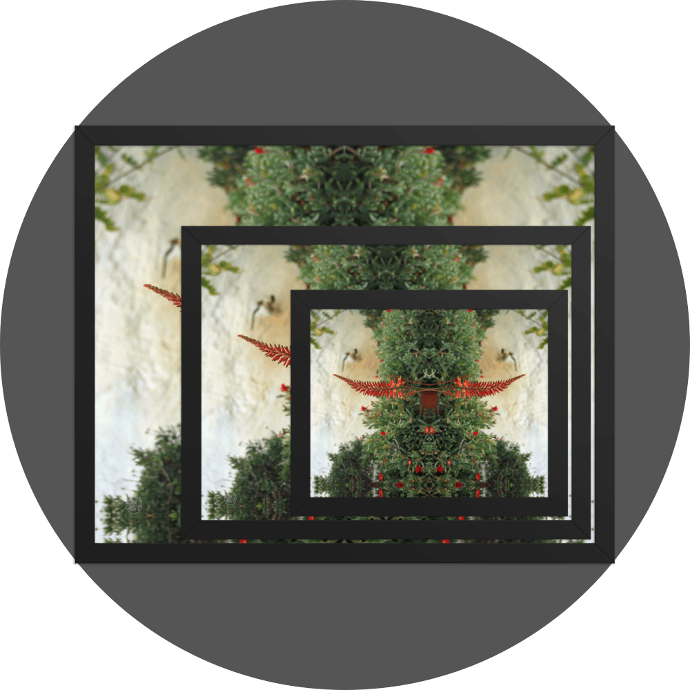 un4rt - the image shows 3 different sizes of the same photographie on top of each other. large size in the back, medium size in the middle and small size on top. the photographie shows plants with green leaves and red blossoms in front of an old white stone wall.