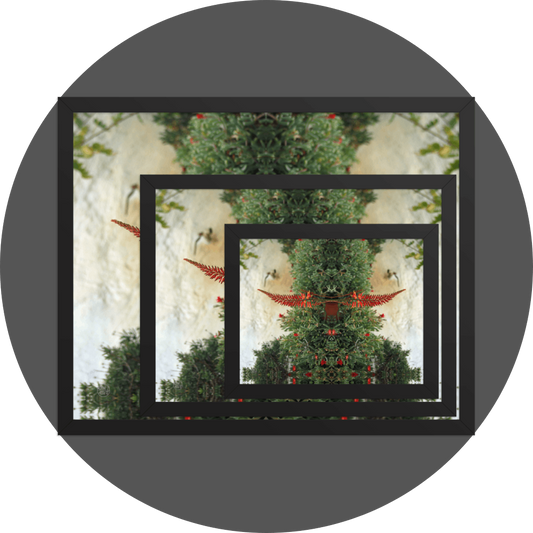 un4rt - the image shows 3 different sizes of the same photographie on top of each other. large size in the back, medium size in the middle and small size on top. the photographie shows plants with green leaves and red blossoms in front of an old white stone wall.