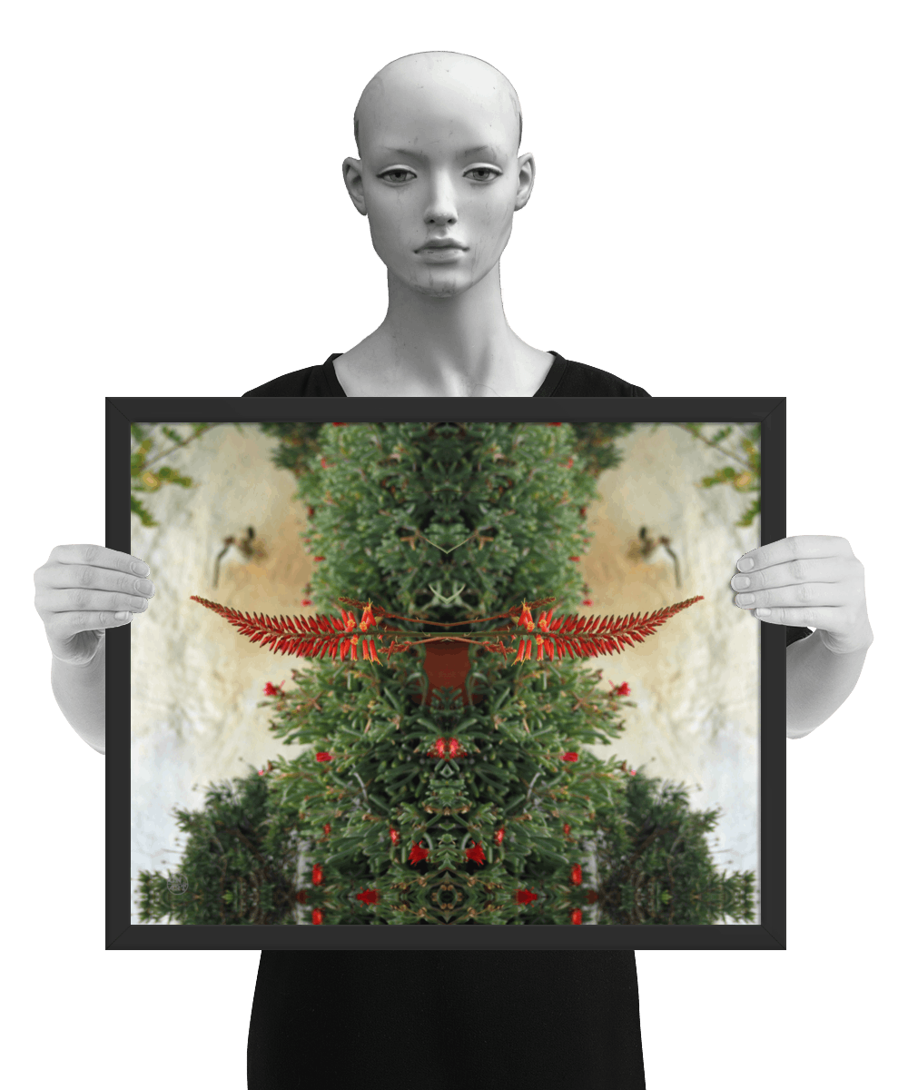 un4rt - the image shows 3 different sizes of the same photographie on top of each other. large size in the back, medium size in the middle and small size on top. the photographie shows plants with green leaves and red blossoms in front of an old white stone wall. the image is framed and presented by a mannequin in black and white.