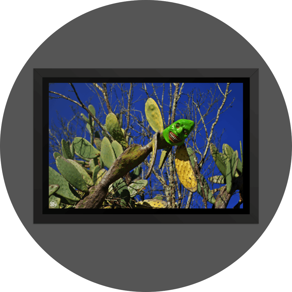 un4rt - the photograpie shows a huge and very old cactus with a spooky green mask on its top. the mask is smiling very strange. dead trees in the background. blue and cloudless sky.