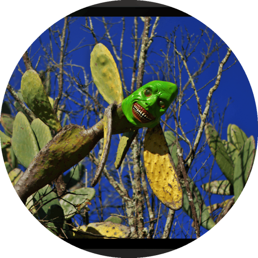 un4rt - the photograpie shows a huge and very old cactus with a spooky green mask on its top. the mask is smiling very strange. dead trees in the background. blue and cloudless sky.