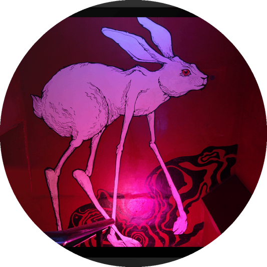 un4rt - the photographie shows a mural of a grotesque white rabbit with extraordinary long legs and a red eye. the main color of the wall is red. some psychedelich black curves on the bottom. the rabbit is walking upstairs.