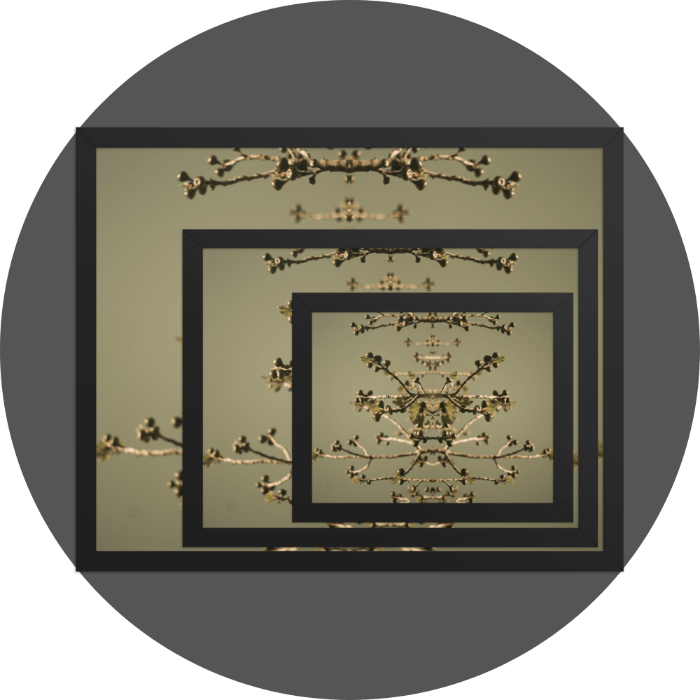 un4rt - the image shows 3 different sizes of the same photographie on top of each other. large size in the back, medium size in the middle and small size on top. the photographie is doubled and then mirrored. both photographies together create the final image. the image shows some branches of a fig tree with some small figs. the background is a light olive green.