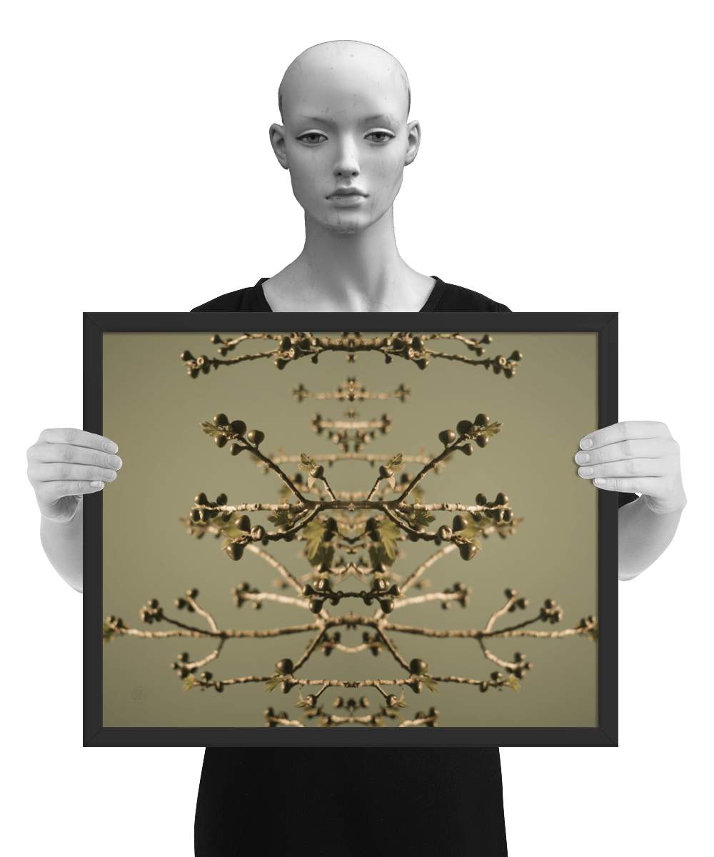 un4rt - the photographie is doubled and then mirrored. both photographies together create the final image. the image shows some branches of a fig tree with some small figs. the background is a light olive green. the image is framed and resented by a mannequin in black and white.