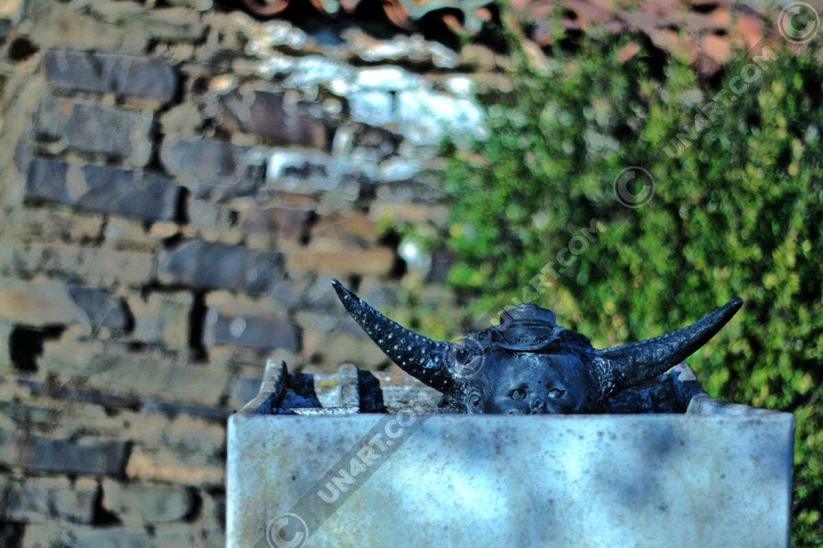 un4rt the photographie shows an old washing tub with a horned baby face looking out of it. the babyface is also wearing a hat. babyface, horns and head are black, the old washing tub is made of concrete. old brick wall with a bush in the background. the background is very blurry.