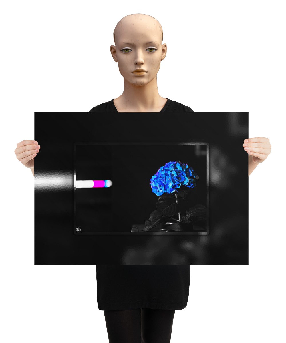 un4rt - the picture shows an edited photo. most of the picture is black and white. the main element is a hydrangea. the flowers of the hydrangea are coloured. the colours are blue and purple. the background is very blurred and only dimly visible. the picture was taken at the maze-club in berlin. the picture is presented by a mannequin.