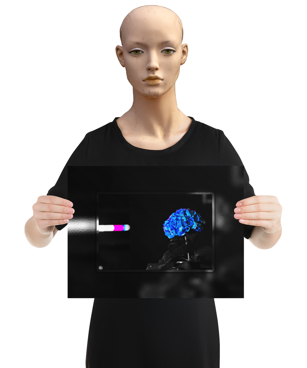 un4rt - the picture shows an edited photo. most of the picture is black and white. the main element is a hydrangea. the flowers of the hydrangea are coloured. the colours are blue and purple. the background is very blurred and only dimly visible. the picture was taken at the maze-club in berlin. the picture is presented by a mannequin.