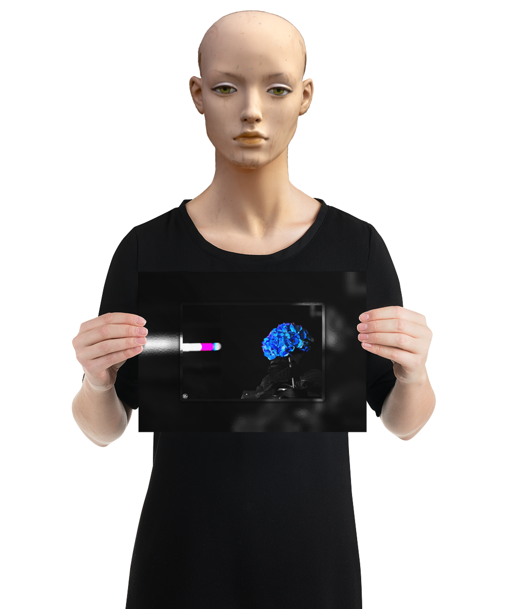 un4rt - the picture shows an edited photo. most of the picture is black and white. the main element is a hydrangea. the flowers of the hydrangea are coloured. the colours are blue and purple. the background is very blurred and only dimly visible. the picture was taken at the maze-club in berlin. the picture is presented by a mannequin.