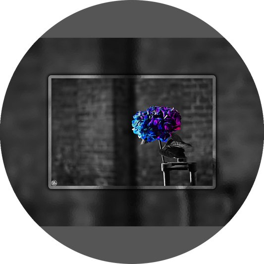 un4rt - the picture shows an edited photo. most of the picture is black and white. the main element is a hydrangea. the flowers of the hydrangea are coloured. the colours are blue and purple. the background is very blurred and only dimly visible. the picture was taken at the maze-club in berlin.