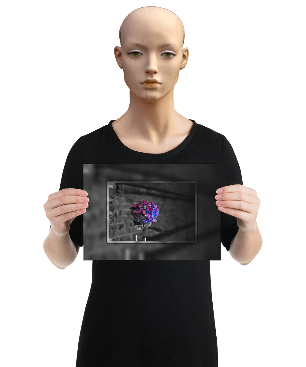 un4rt - the picture shows an edited photo. most of the picture is black and white. the main element is a hydrangea. the flowers of the hydrangea are coloured. the colours are blue and purple. the background is very blurred and only dimly visible. the picture was taken at the maze-club in berlin. the picture is presented by a mannequin.