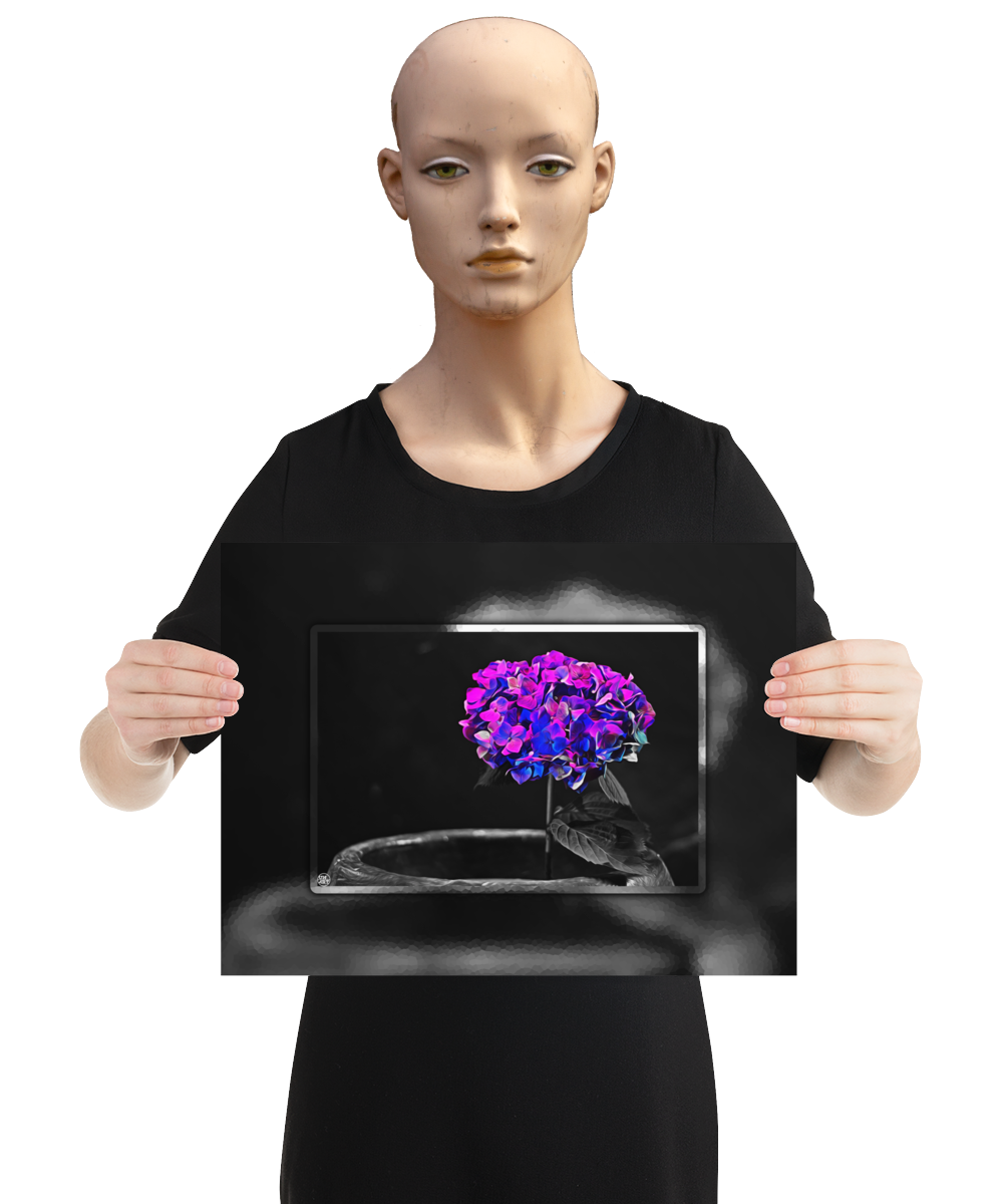 un4rt - the picture shows an edited photo. most of the picture is black and white. the main element is a hydrangea. the flowers of the hydrangea are coloured. the colours are blue and purple. the background is very blurred and only dimly visible. the picture was taken at the maze-club in berlin. the picture is presented by a mannequin.