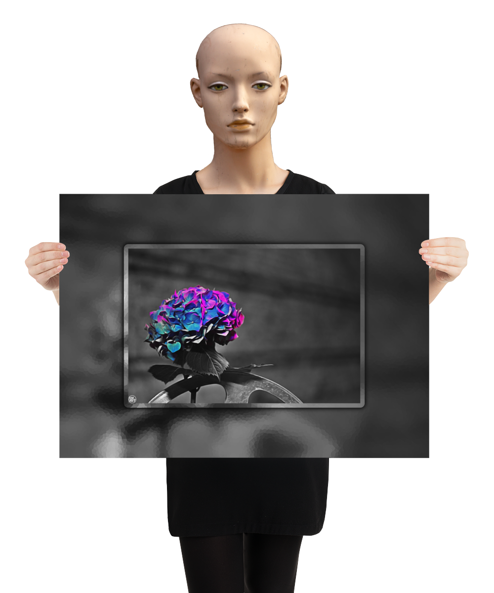 un4rt - the picture shows an edited photo. most of the picture is black and white. the main element is a hydrangea. the flowers of the hydrangea are coloured. the colours are blue and purple. the background is very blurred and only dimly visible. the picture was taken at the maze-club in berlin. the picture is presented by a mannequin.