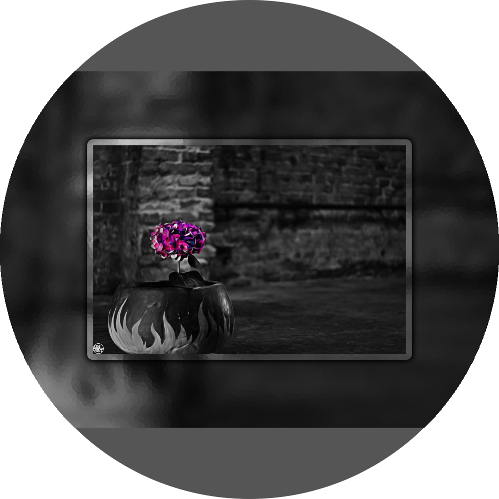 un4rt - the picture shows an edited photo. most of the picture is black and white. the main element is a hydrangea. the flowers of the hydrangea are coloured. the colours are blue and purple. the background is very blurred and only dimly visible. the picture was taken at the maze-club in berlin.