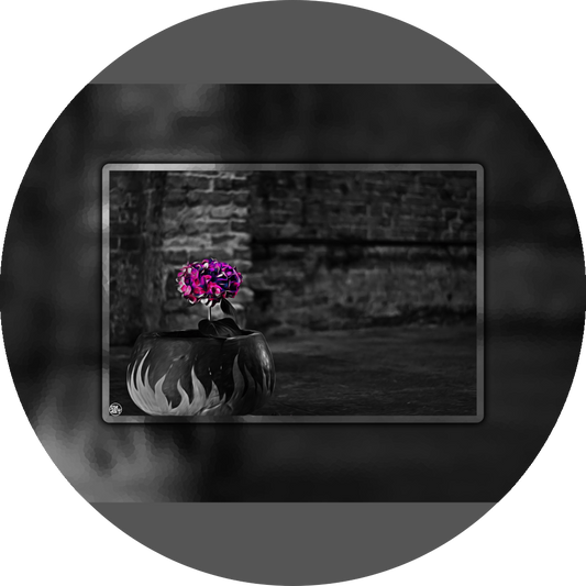 un4rt - the picture shows an edited photo. most of the picture is black and white. the main element is a hydrangea. the flowers of the hydrangea are coloured. the colours are blue and purple. the background is very blurred and only dimly visible. the picture was taken at the maze-club in berlin.