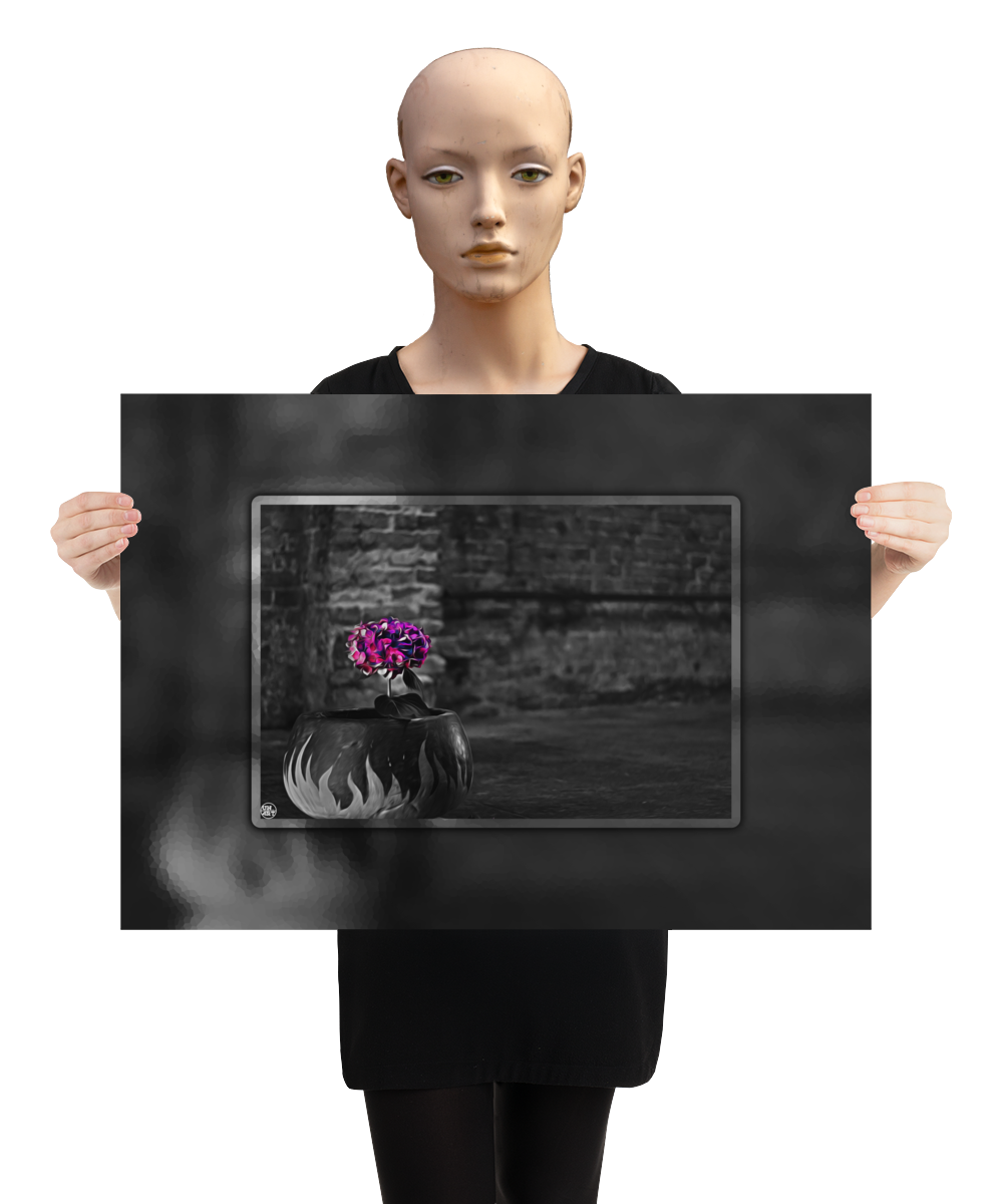 un4rt - the picture shows an edited photo. most of the picture is black and white. the main element is a hydrangea. the flowers of the hydrangea are coloured. the colours are blue and purple. the background is very blurred and only dimly visible. the picture was taken at the maze-club in berlin. the picture is presented by a mannequin.