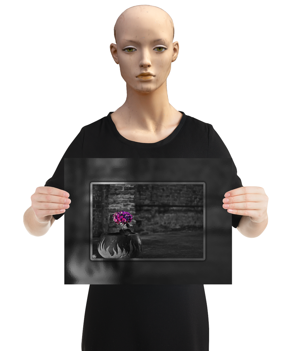 un4rt - the picture shows an edited photo. most of the picture is black and white. the main element is a hydrangea. the flowers of the hydrangea are coloured. the colours are blue and purple. the background is very blurred and only dimly visible. the picture was taken at the maze-club in berlin. the picture is presented by a mannequin.