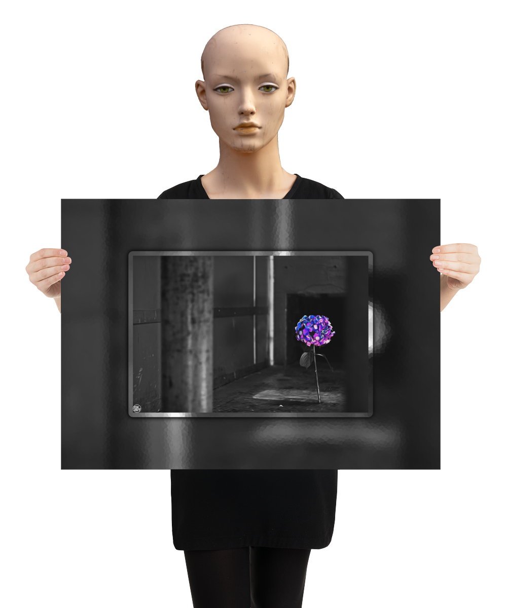 un4rt - the picture shows an edited photo. most of the picture is black and white. the main element is a hydrangea. the flowers of the hydrangea are coloured. the colours are blue and purple. the background is very blurred and only dimly visible. the picture was taken at the maze-club in berlin. the picture is presented by a mannequin.