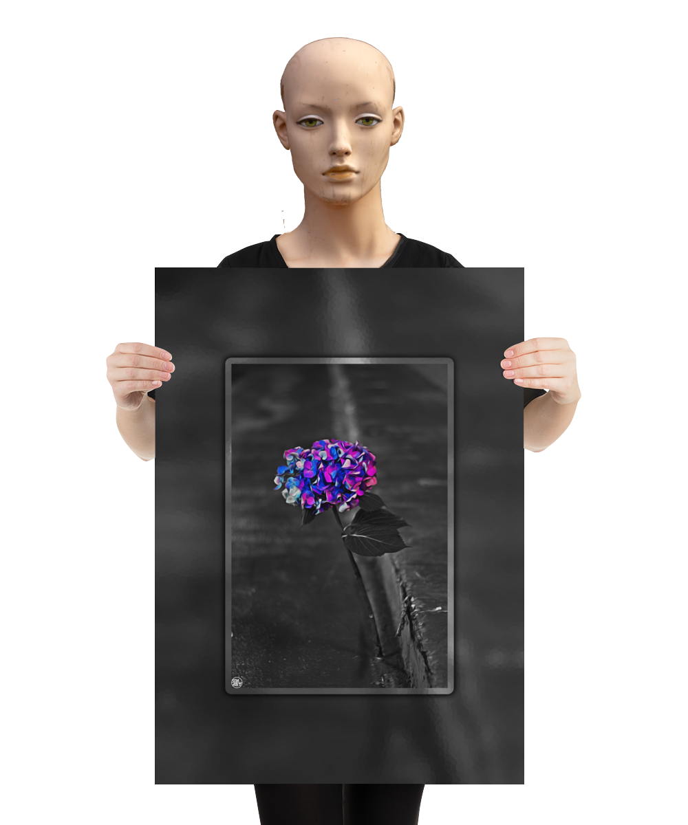 un4rt - the picture shows an edited photo. most of the picture is black and white. the main element is a hydrangea. the flowers of the hydrangea are coloured. the colours are blue and purple. the background is very blurred and only dimly visible. the picture was taken at the maze-club in berlin. the picture is presented by a mannequin.