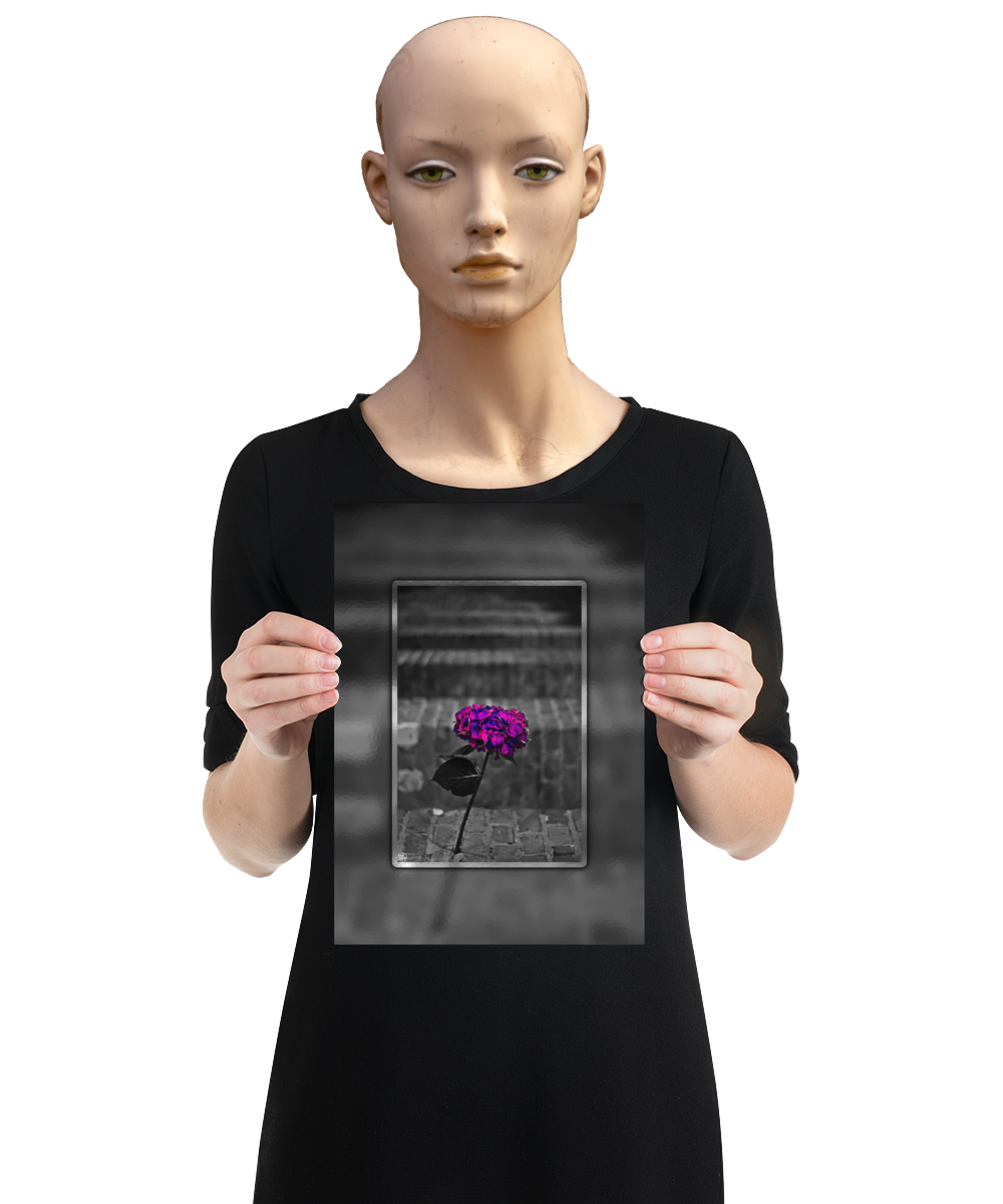 un4rt - the picture shows an edited photo. most of the picture is black and white. the main element is a hydrangea. the flowers of the hydrangea are colored. the colors are blue and purple. the background is very blurred and only dimly visible. the picture was taken at the maze-club in berlin. the picture is presented by a mannequin.