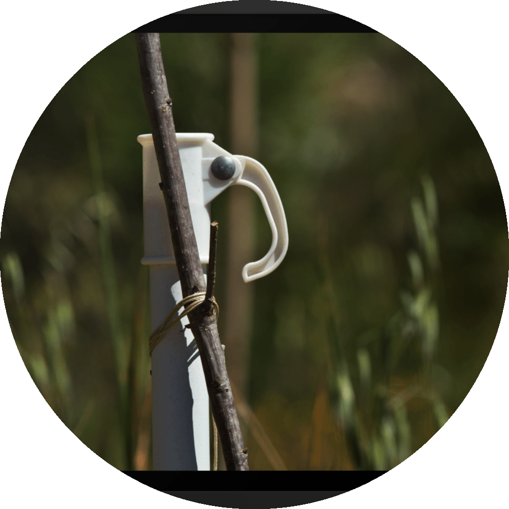 un4rt - the photographie shows a white umbrella stand with a wooden stick attached to it. the wooden stick is tied to the stand. very unsharp background with young trees and wild greenery.