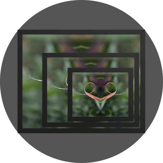 un4rt - the image shows 3 different sizes of the same photographie on top of each other. large size in the back, medium size in the middle and small size on top. the photographie is doubled and then mirrored to create the final image. the image shows a dried blade of grass that has curled up twice. the background is blurry and colored in various tones of green and a bit of purple.