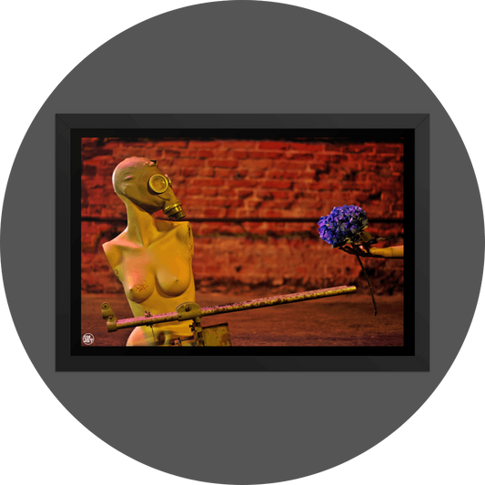 un4rt - the photographie shows a topless body of a mannequin without arms. the face is covered with a gas mask. an old steel pipe structure in front of the mannequin that looks like a weapon, but it´s not. a hand is holding a blue hydrangea and offers it to the mannequin. a brick stone wall in the background.