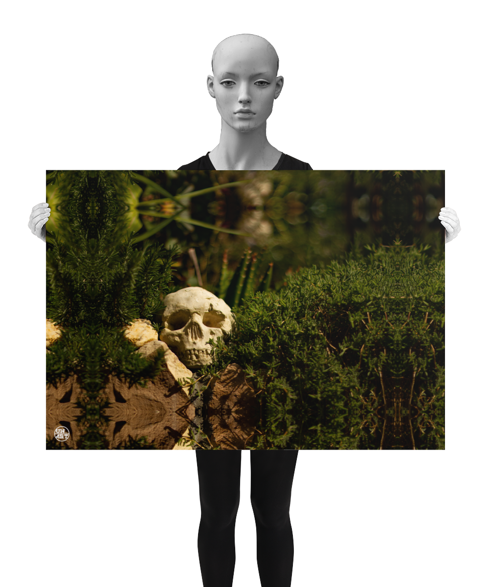 un4rt - a poster. a mirror-framed photographie of a skull on top of a stone wall. the skull is surrounded by plants with very small leaves. blurry background. the poster is presented by a model in back and white.