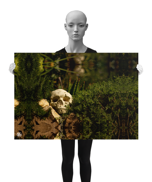 un4rt - a poster. a mirror-framed photographie of a skull on top of a stone wall. the skull is surrounded by plants with very small leaves. blurry background. the poster is presented by a model in back and white.
