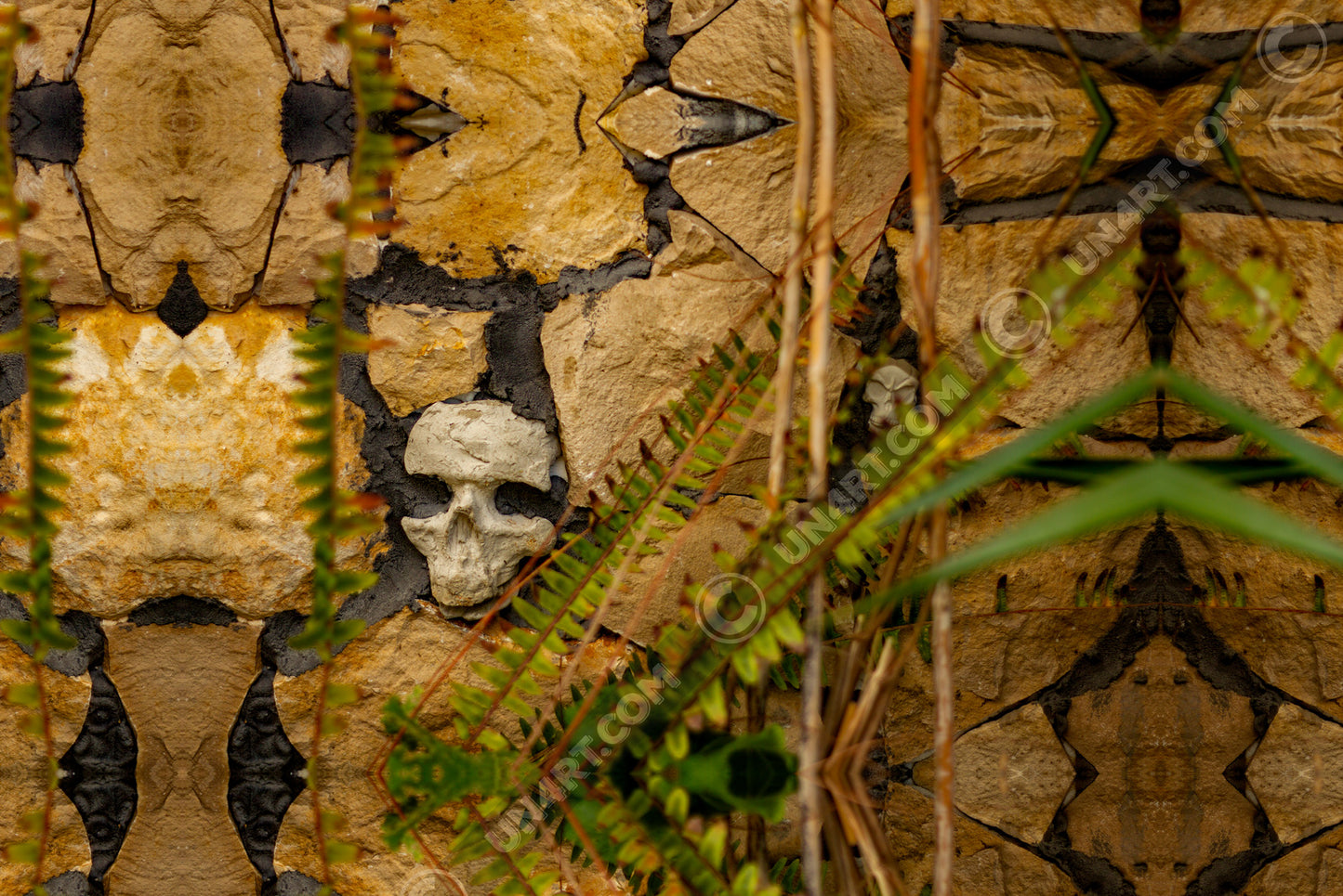 un4rt - a mirror-framed photographie of a skull embedded in a stone wall. the holes of the eyes are filled with concrete. some plants in front of the stone wall.