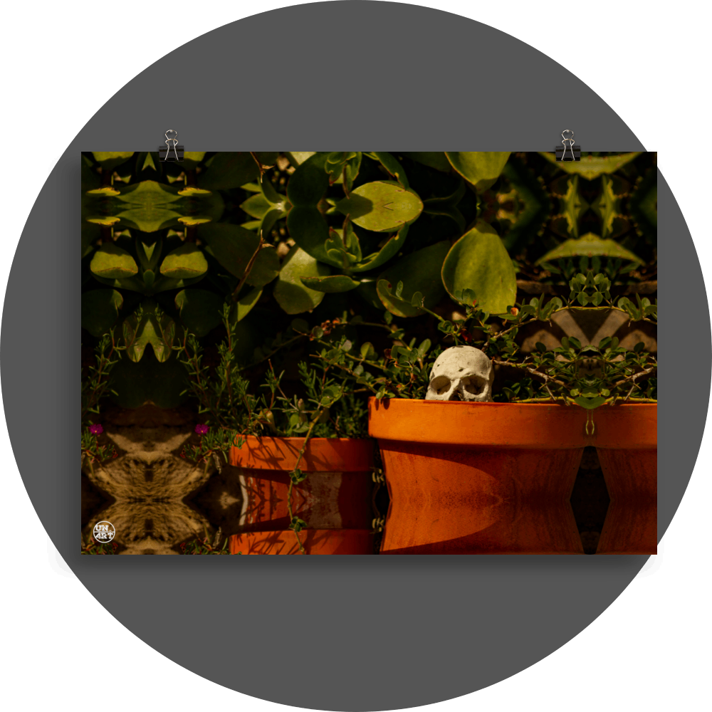 un4rt - a mirror-framed photographie of a tiny skull looking out of a flower pot. plants with small and big green leaves around the skull.