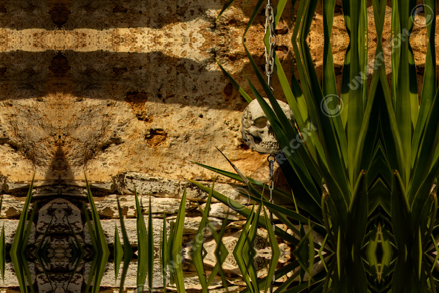 un4rt - a mirror-framed photographie of a tiny skull hanging on a chain in front of an old wall. some parts of the skull are covered from a yucca.