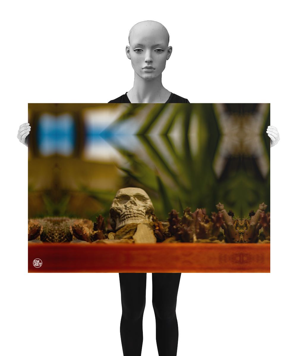 un4rt - a poster. a mirror-framed photographie of a tiny skull inside a flower pot surrounded by small cactuses. the background is very blurry. a model in black and white is presenting the poster.