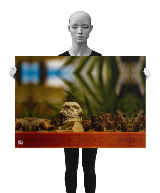 un4rt - a poster. a mirror-framed photographie of a tiny skull inside a flower pot surrounded by small cactuses. the background is very blurry. a model in black and white is presenting the poster.
