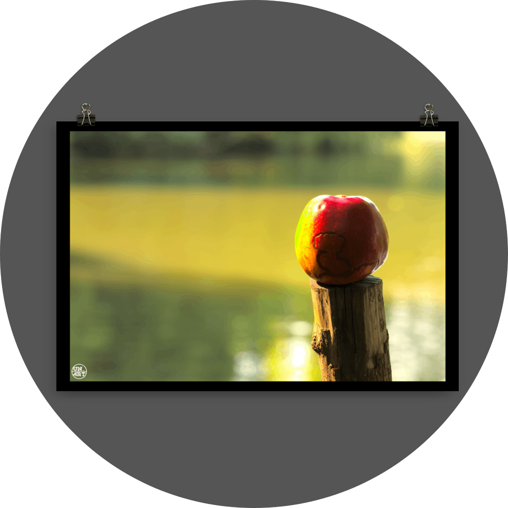un4rt - photographie of a red and yellow apple on a cutted tree trunk in font of a lake. the apple shows traces of a worm under its skin. the surface of the lake is unfocused.