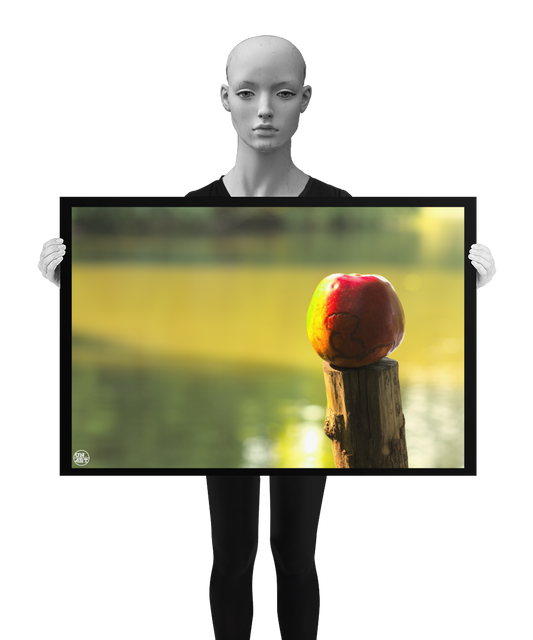 un4rt - photographie of a red and yellow apple on a cutted tree trunk in font of a lake. the apple shows traces of a worm under its skin. the surface of the lake is unfocused. the image is held by a mannequin in black and white.