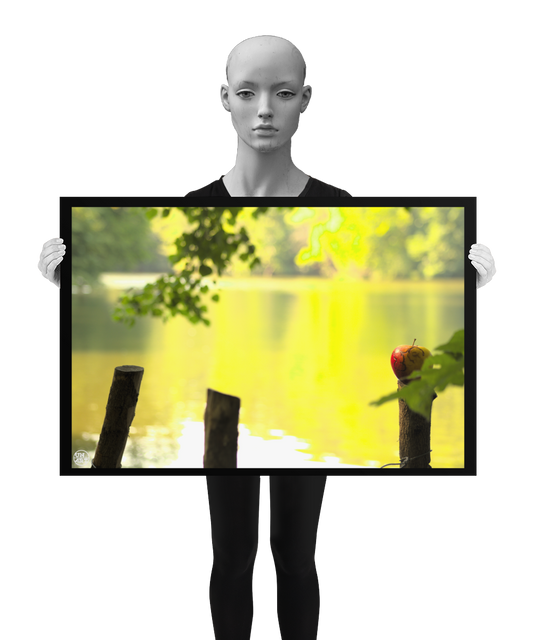 un4rt - photographie of a red and yellow apple on a cutted tree trunk in font of a lake. two more tree trunks next to it. the apple shows traces of a worm under its skin. the surface of the lake is unfocused. leaves  of a tree behind and in front of the apple. the image is held by a mannequin in black and white.