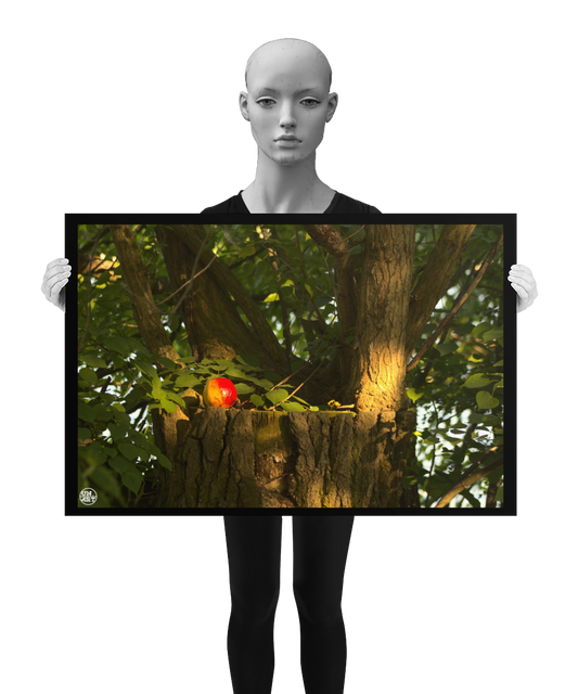 un4rt - photographie of a red and yellow apple on a cutted tree trunk. the trunk has new sprouts. the sprouts are full of leaves. the mage is held by a mannequin in black and white.
