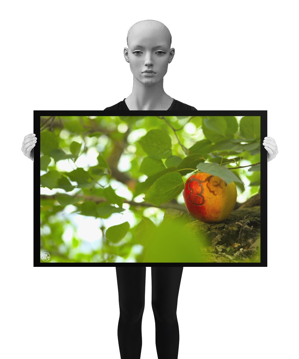 un4rt - photographie of a red and yellow apple on a tree trunk. the apple shows traces of a worm under its skin. the trunk has new sprouts. the sprouts are full of leaves. the leaves are all around. bookeh, blurry background. the image is held by a mannequin in black and white.