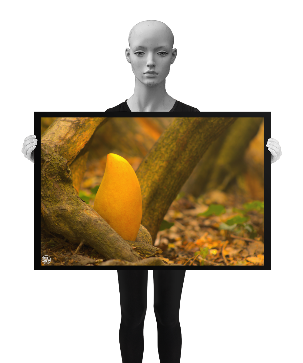 un4rt - photographie of a yellow mango in a forest. the mango is placed on the ground surrounded by tree trunks and positioned between some roots. ivy and old brown leaves on the ground. the poster is presented by a mannequin in black and white.