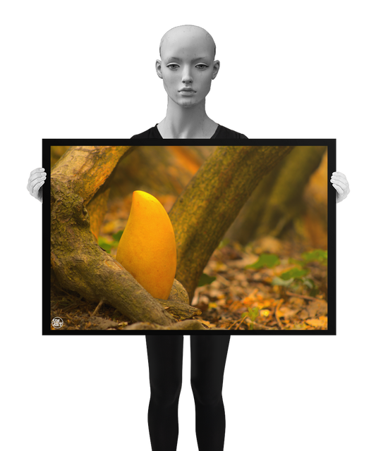 un4rt - photographie of a yellow mango in a forest. the mango is placed on the ground surrounded by tree trunks and positioned between some roots. ivy and old brown leaves on the ground. the poster is presented by a mannequin in black and white.