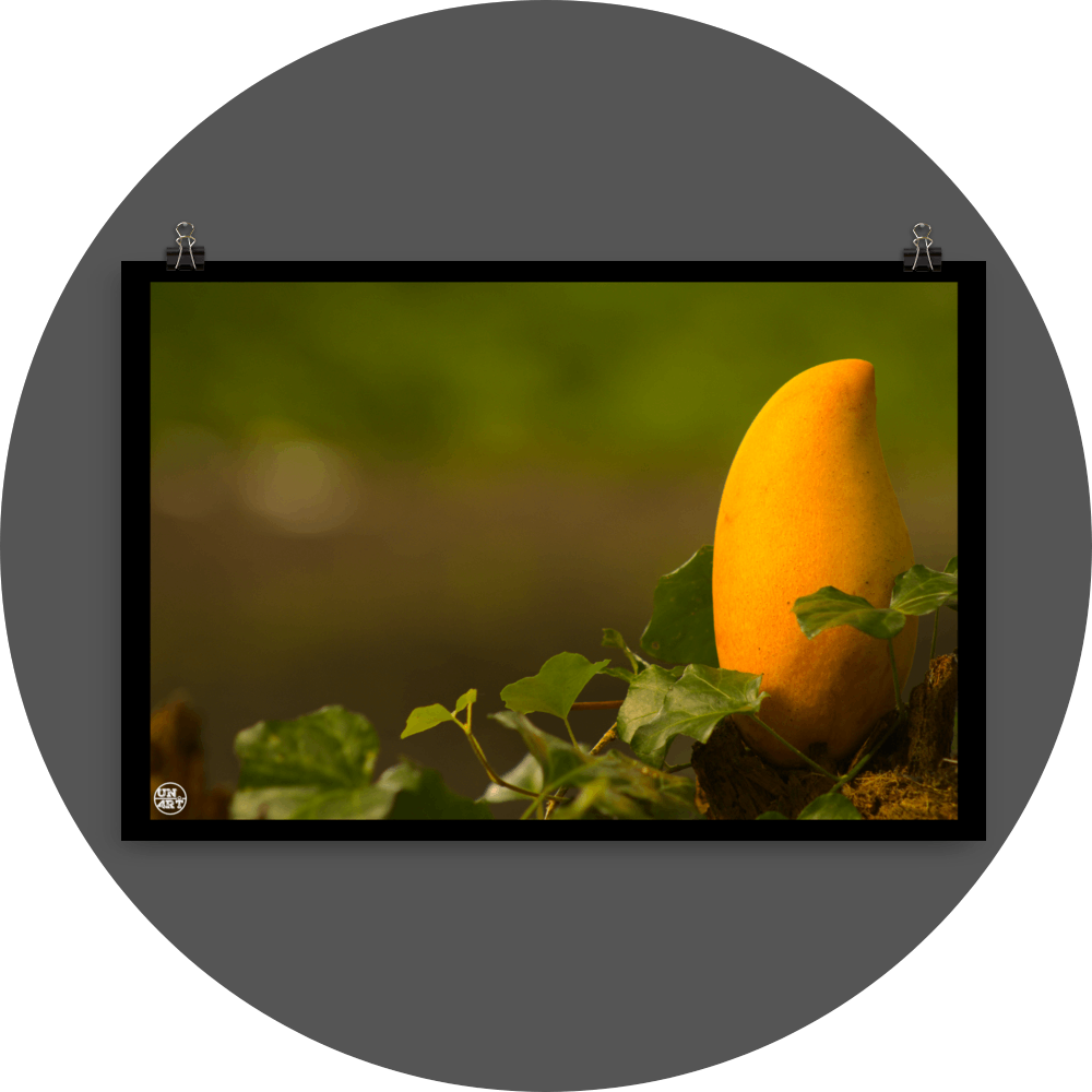 un4rt - photographie of a yellow mango in a forest. the mango is placed on top of a rotten tree trunk. some ivy around the mango. blurry and defocused background.