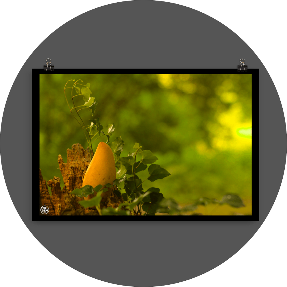 un4rt - photographie of a yellow mango in a forest. the mango is placed on top of a rotten tree trunk. some ivy around the mango. blurry and defocused background.