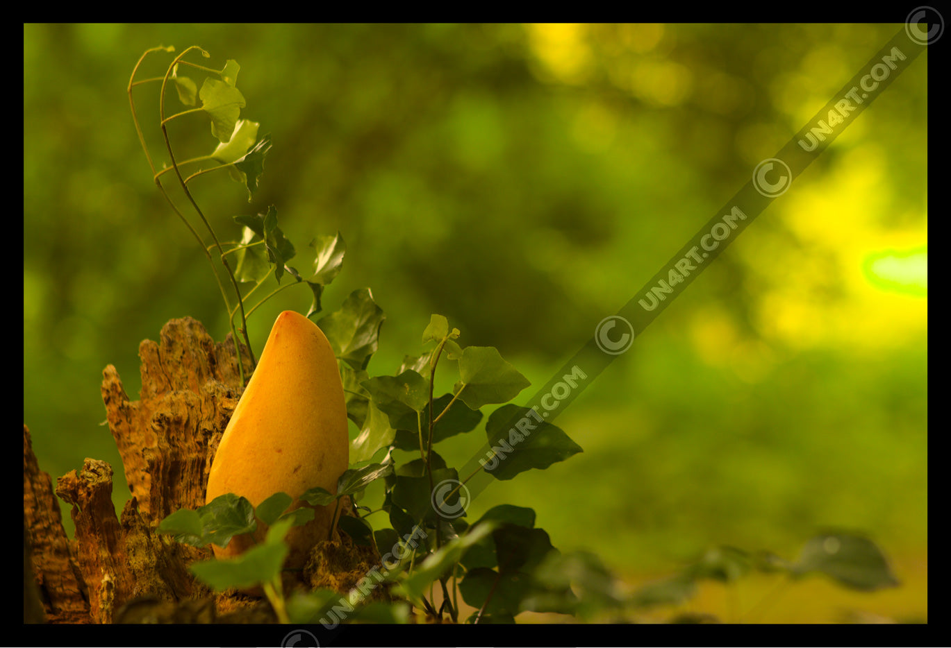 un4rt - photographie of a yellow mango in a forest. the mango is placed on top of a rotten tree trunk. some ivy around the mango. blurry and defocused background.