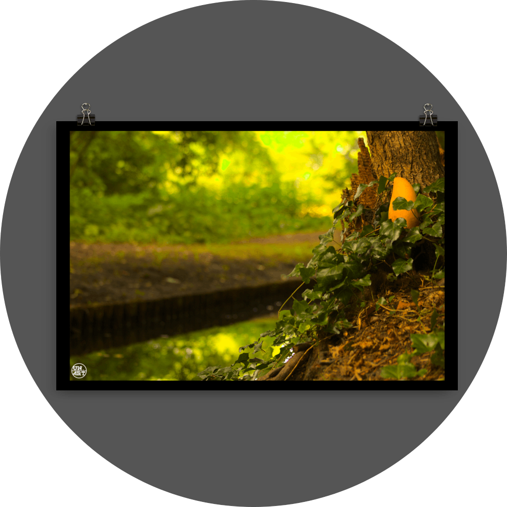 un4rt - photographie of a yellow mango in a forest. the mango is placed next to a rotten tree trunk. some ivy around the mango. a water ditch and lots of leaves in the background. bookeh.
