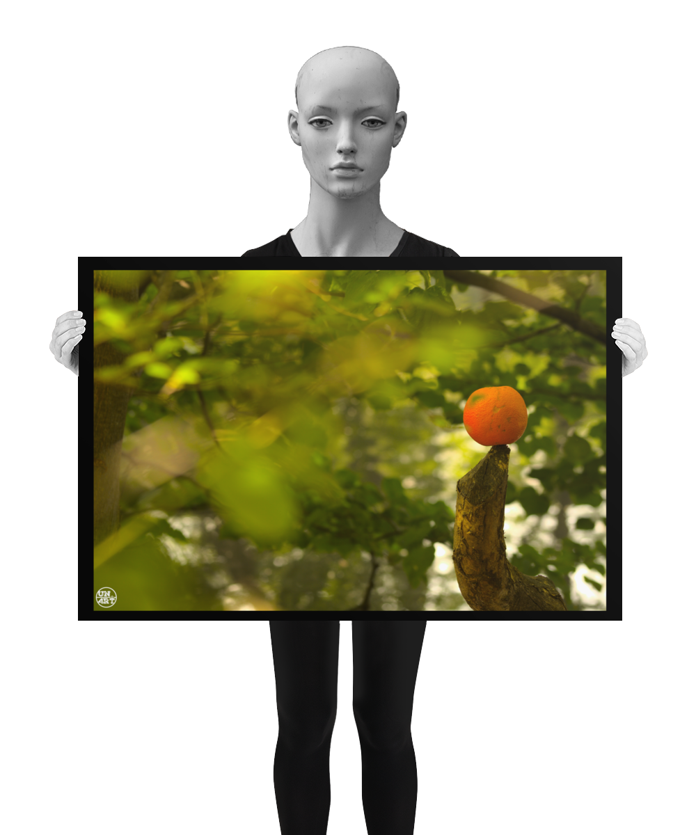 un4rt - photographie of an orange inside a forest. the orange is placed on the tip of a cut branch. unsharp backround with green leaves and branches. bookeh. lightbeams. the image is shown by a mannequin in black and white.